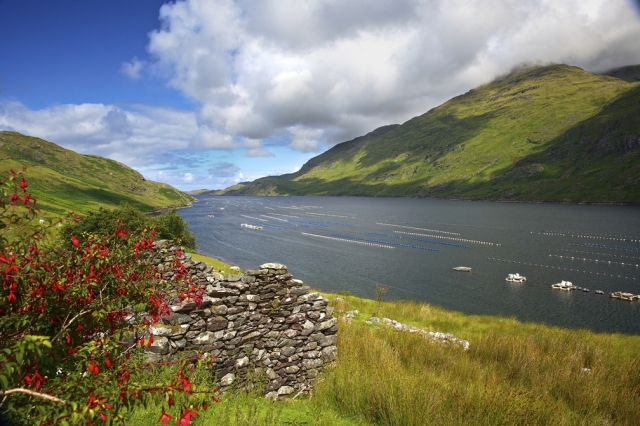 Irland - Wandern ohne Gepäck