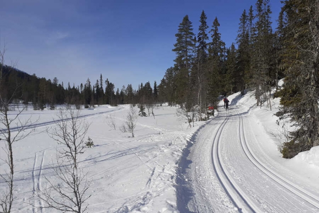 Schweden - 99. Vasaloppet 2023
