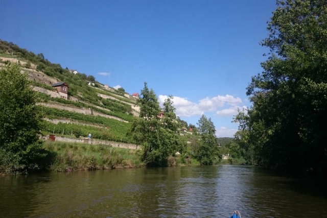 Gruppenreise - Mit dem Boot durch Mitteldeutschland