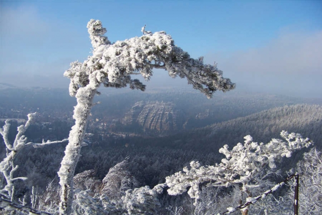 Deutschland - Winter aktiv in der Oberlausitz